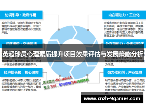 英超球员心理素质提升项目效果评估与发展策略分析