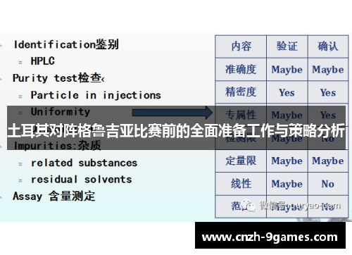 土耳其对阵格鲁吉亚比赛前的全面准备工作与策略分析