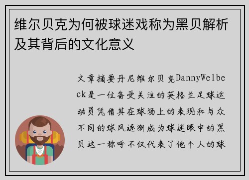 维尔贝克为何被球迷戏称为黑贝解析及其背后的文化意义 维尔贝克为何被球迷戏称为黑贝解析及其背后的文化意义