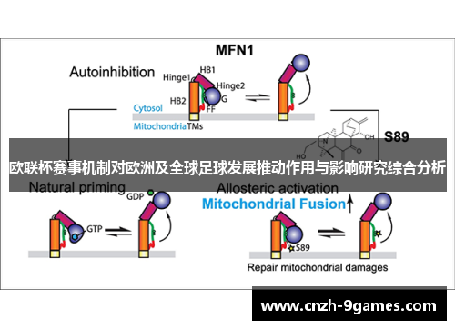 欧联杯赛事机制对欧洲及全球足球发展推动作用与影响研究综合分析