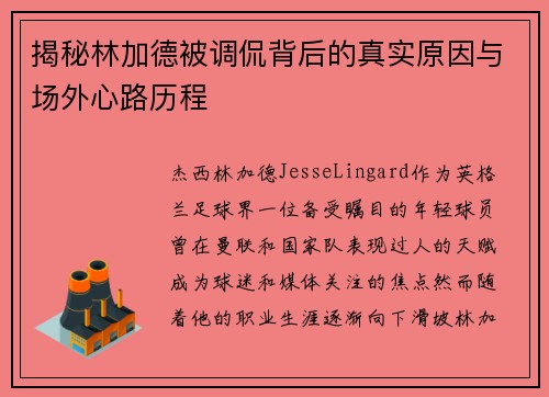 揭秘林加德被调侃背后的真实原因与场外心路历程